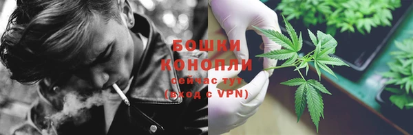 мдпв Медногорск