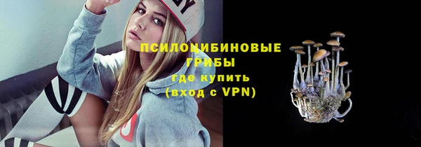 мдпв Медногорск