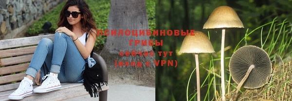 a pvp Медвежьегорск